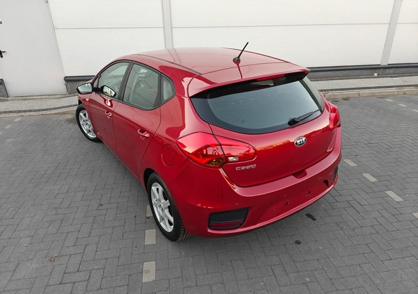 Kia Ceed cena 38900 przebieg: 156500, rok produkcji 2016 z Mieszkowice małe 631